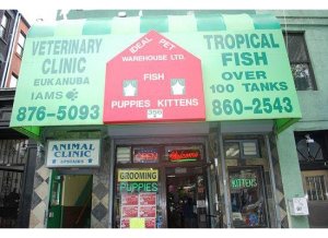 Photo// Charlotte Gibson