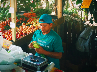 Photo // Charlotte Gibson Adrian Rosado prepares vegetables for a local customer on Thursday, August 28, 2014. 